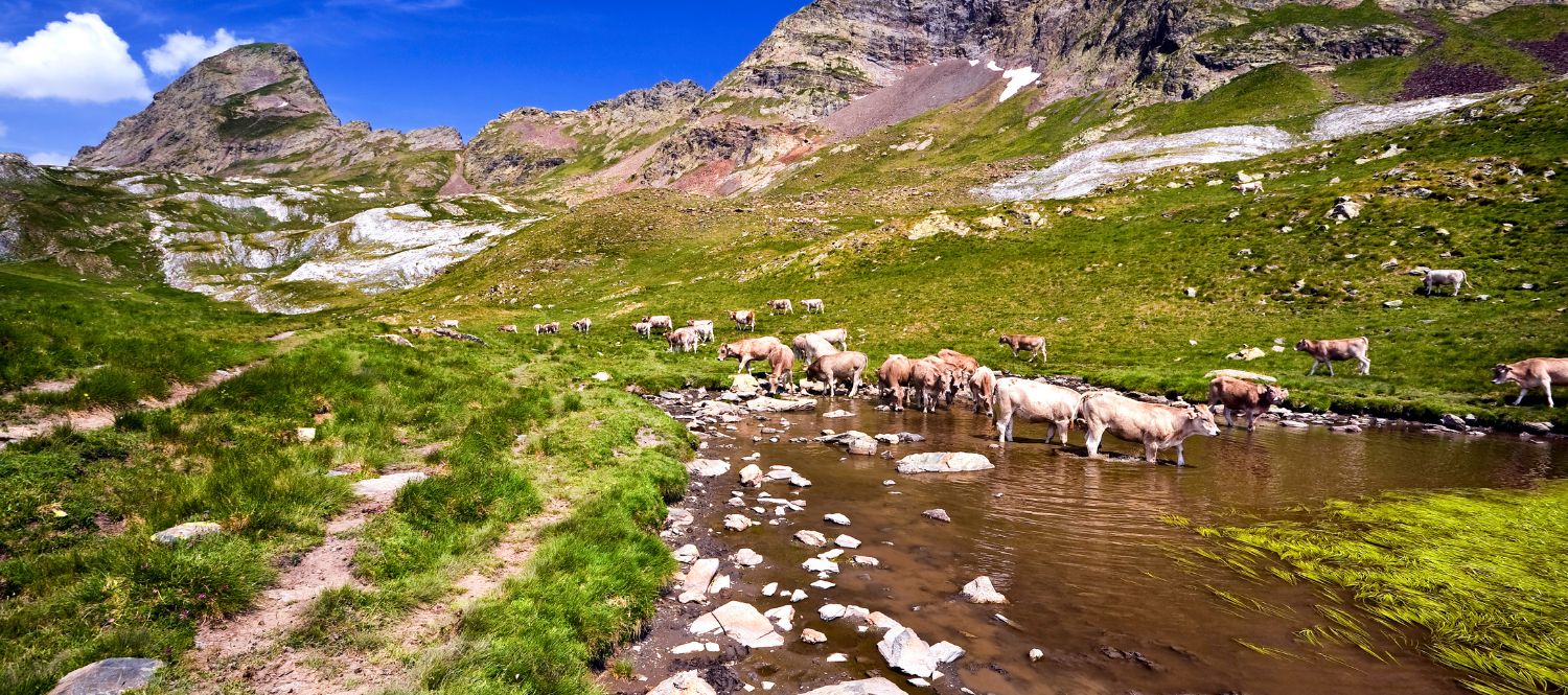 La ausencia de nieve frena las reservas en el Pirineo para el Puente de Diciembre